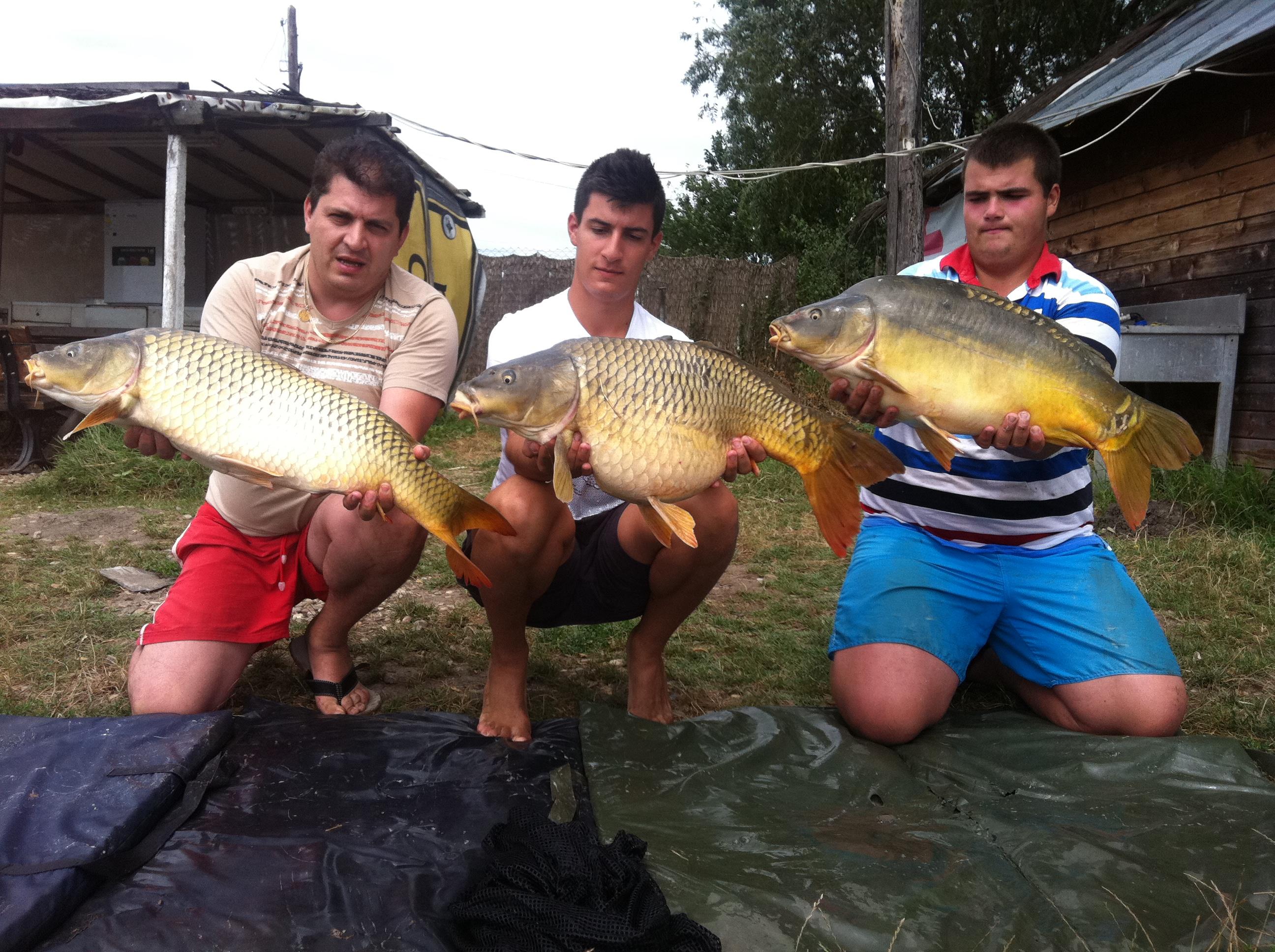 Greaca -2011 - IMG_0543.JPG